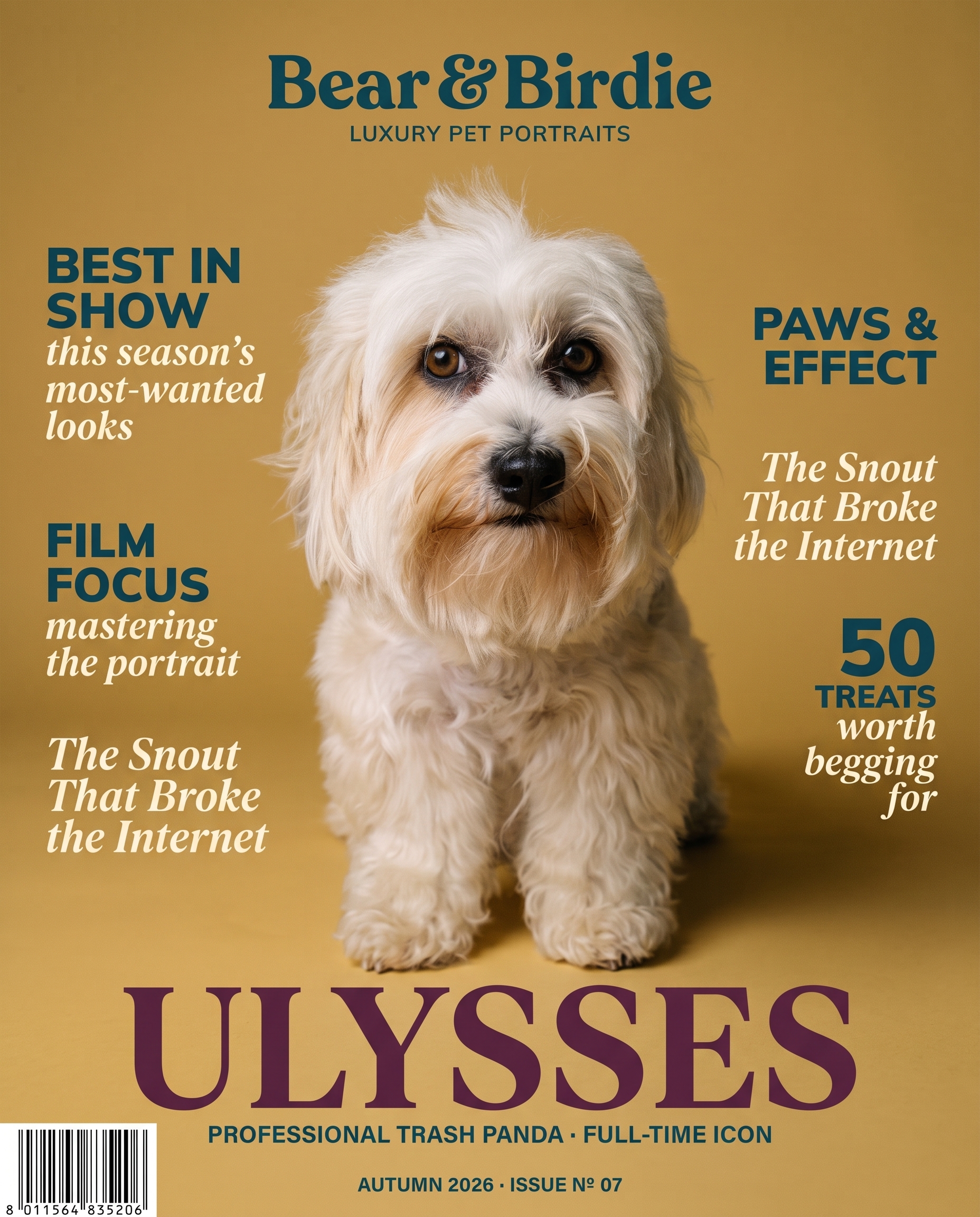 Cover Test